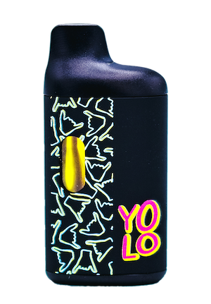 Yolo - Life on Purpose